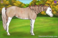 Horse Color:Red Roan Splash 