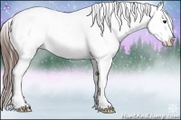 Horse Color:Brown Appaloosa Rabicano 