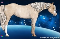 Horse Color:Silver Classic Champagne Roan Rabicano 