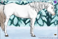 Horse Color:White Spotted Smoky Black Appaloosa 