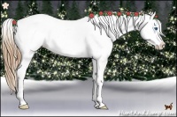 Horse Color:Chestnut Pearl Splash Tobiano Blanket Rabicano