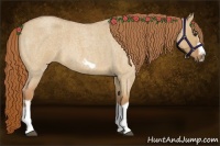 Horse Color:Red Dun Roan Splash Frame Rabicano 