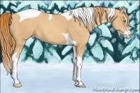 Horse Color:Gold Champagne Splash Tobiano 