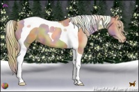 Horse Color:Nacre Chestnut Pearl Tobiano 