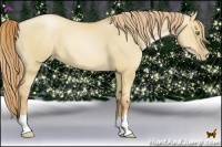 Horse Color:Red Dun Pearl 