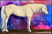 Horse Color:Silver Amber Cream Champagne Dun Splash Rabicano