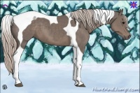 Horse Color:Silver Black Tobiano
