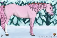 Horse Color:Watercolor Buckskin Dun 