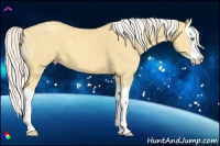 Horse Color:Silver Classic Cream Champagne Dun Splash 