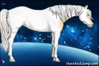 Horse Color:Silver Classic Champagne Dun Splash Tobiano Frame