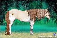 Horse Color:White Spotted Smoky Grullo Pearl