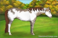 Horse Color:Chestnut Ice Frame