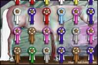 Horse Color:Gray Perlino Roan Dun Sabino Splash 