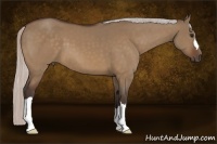 Horse Color:Silver Bay Dun 