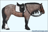 Horse Color:Bay Roan 