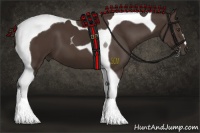 Horse Color:Liver Chestnut Tobiano 