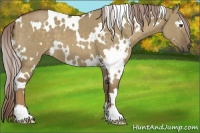 Horse Color:White Spotted Chocolate Palomino Dun 