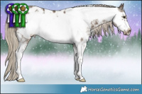 Horse Color:Chocolate Palomino Sabino Frame Appaloosa 