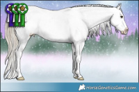 Horse Color:Chocolate Palomino Sabino Frame Appaloosa 