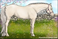 Horse Color:Gold Cream Champagne Pearl 