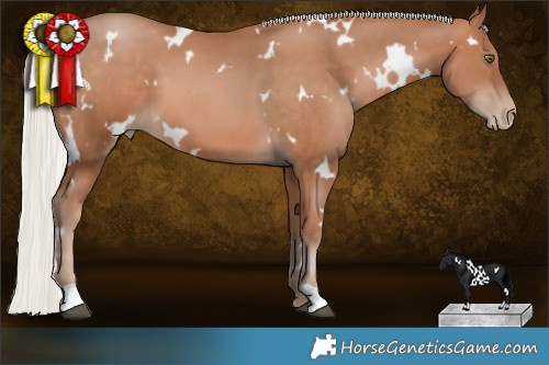 Horse Color:White Spotted Silver Bay Pearl 