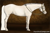 Horse Color:Gold Cream Champagne Pearl 