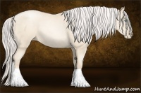 Horse Color:Silver Amber Cream Champagne Pearl 
