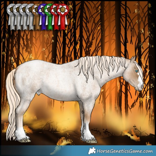 Horse Color:Chocolate Palomino Roan Pearl Mushroom