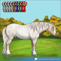 Horse Color:Chocolate Palomino Roan Pearl Mushroom