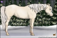 Horse Color:Silver Amber Cream Champagne Pearl 