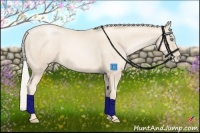 Horse Color:Gold Cream Champagne Pearl 