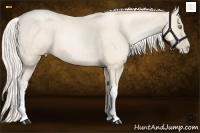 Horse Color:Silver Amber Cream Champagne Pearl