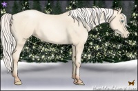 Horse Color:Silver Amber Cream Champagne Pearl 