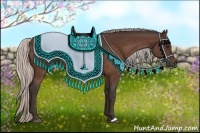 Horse Color:Silver Bay 