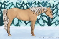 Horse Color:Silver Amber Champagne Frame 