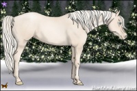 Horse Color:Gold Cream Champagne Pearl 