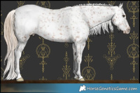 Horse Color:White Spotted Chestnut Snowcap Rabicano