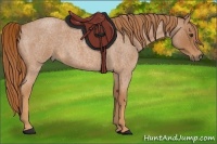 Horse Color:Red Roan