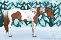 Horse Color:Chestnut Tobiano
