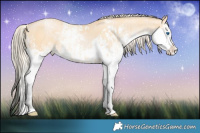 Horse Color:Palomino Pearl Sabino Splash and Palomino Pearl Sabino Splash
