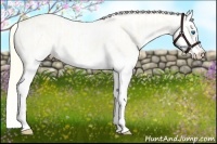 Horse Color:Smoky Creme Sabino Splash  and Smoky Creme Sabino Splash 