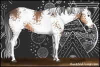 Horse Color:White Spotted Buckskin Splash 