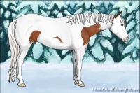 Horse Color:Silver Bay Splash Tobiano 