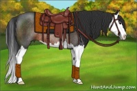 Horse Color:Brown Splash Rabicano
