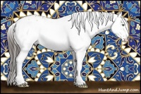 Horse Color:White Spotted Amber Champagne Dun 