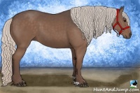 Horse Color:Silver Black 