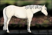 Horse Color:Silver Amber Cream Champagne Pearl