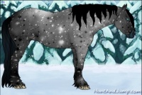 Horse Color:ERROR: UNKNOWN ANOMALY