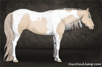 Horse Color:Palomino Pearl Tobiano
