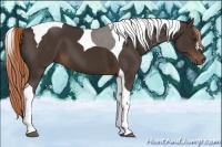 Horse Color:Liver Chestnut Tobiano 